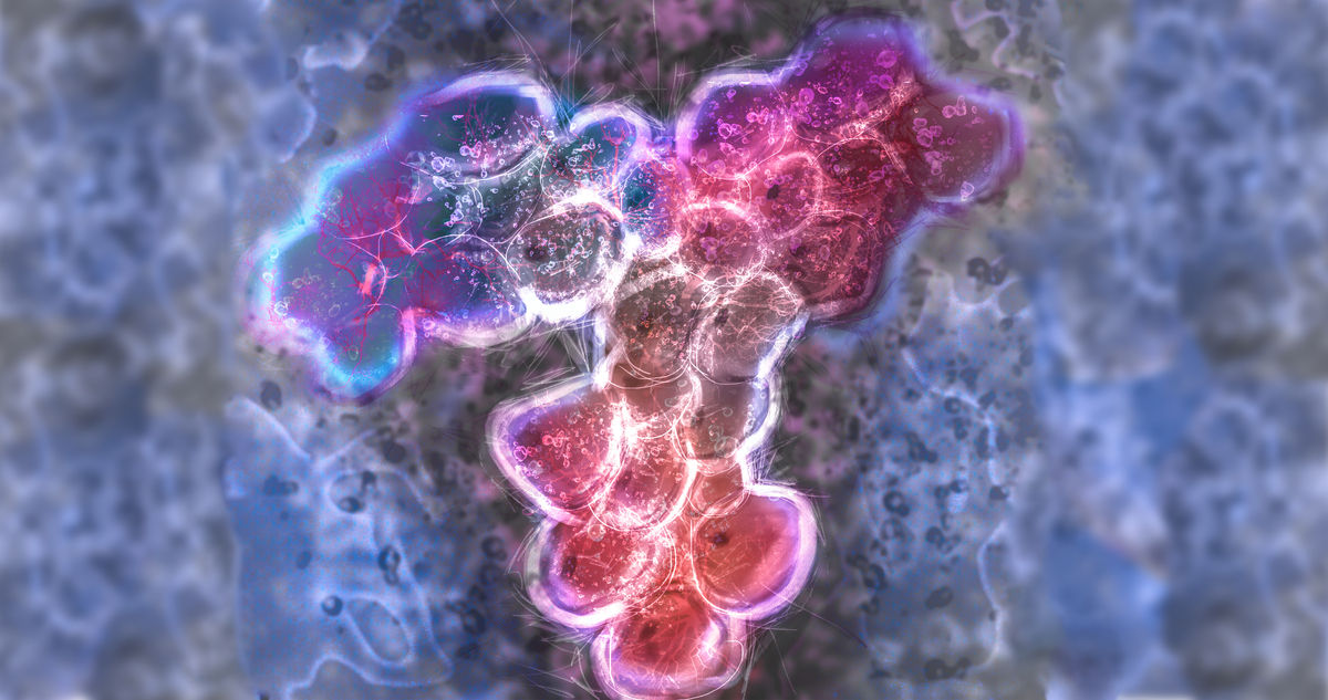 A microscopic image of an antibody